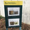 風太くんで有名な千葉市動物公園は適度に空いている！赤ちゃんの動物園デビューにもオススメ。駐車場は西口ゲートの近くが便利。