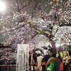チドリ夜桜花見会2009