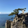 逗子駅からお散歩【葉山自然満喫編Ⅰ】