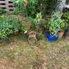 花台を拡大しました