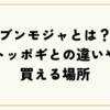 話題沸騰！ブンモジャとは？トッポギとの違いや買える場所・絶品レシピまで徹底解説！