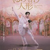 東京バレエ団～くるみ割り人形
