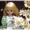 お花とプルルンちゃん♪