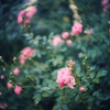 BELL&HOWELL LUMAX 1INCH f/1.9