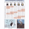 10月の空の自然観察　予定
