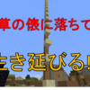 【マインクラフト】 干草の俵に高さ100ブロックから落ちても生き延びる!? 検証しました #78