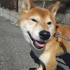 令和2年3月