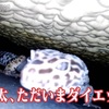 こっちのセリフ