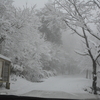 花冷の奥物部遊山　雪花咲く