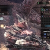 【ＭＨＷ】最後(？)のフリークエスト「新大陸の白き風」 ソロ攻略（双剣、動画あり）