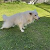 風を感じる日々