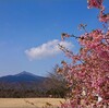 RGBワークフローへの道（10）～（darktable3.0第110回）