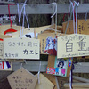 フジでらきすたの神社騒動を報道　(カジ速)