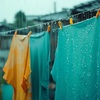 雨の日の洗濯物！干しっぱなしはアリ？ナシ？夜干しの防犯効果は？