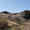 三門山の林道【亘理郡亘理町逢熊神宮寺】