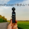 オズモポケットで散歩してみた／夏の夕焼け【Osmopocket／Osmo Pocket】