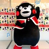 くまモン　大井町に出没