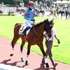 意欲の遠征、実を結ぶか !?