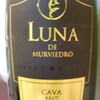 LUNA DE MURVIEDRO