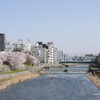 男川「犀川大橋」