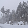 天気予報どおりの大雪