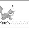 猫の飛び乗り対策