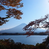 富士山「青木ヶ原樹海」