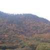 冬の到来と準備の始まり