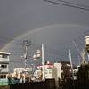 時雨る日々