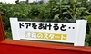 ひまわりの蕾が東を向いてきた