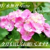 ６月/水無月/みなづき/June ✾梅雨の時季になりました⛆