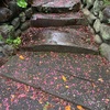 百日紅雨あがりの庭散り敷けり(あ）