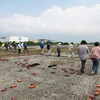 6月3日（日）第3回森ヶ崎屋上営巣地調査