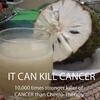  IT CAN KILL CANCER - 10.000 times stronger killer of CANCER than Chemo-Therapy