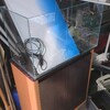 買取査定　３０％UP&お品物UPしました【ペットバルーン・中古品・ADA・買い取り・大阪】