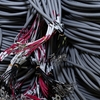 【体験レポ】働きながら第二種電気工事士の資格を取った話
