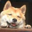 すのふらてっく