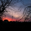 浜ちゃん８９歳の散歩道(１１８８)　　　早朝は朝焼けが素晴らしかった