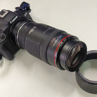 CANON EF50-200mm F3.5-4.5L】骨董AFズームを最新APS-C機で少し