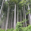 檜原村の麹蓋つくり