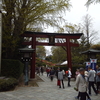 根津神社　つつじ祭り