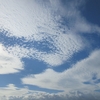 今週の三田・里山キャンパス（542）：気になる雲