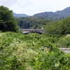 日影乗鞍から小仏城山、城山から高尾山山頂へ、高尾山からいろはの森下山で日影へ