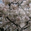 今週は日勤週です