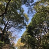 明治神宮