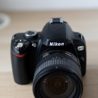 夏日とAF-S Nikkor 18-70㎜F3.5-4.5G ED - 雑食カメラマンの雑感記