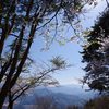 【子連れ登山記７】富士山を見ながら山頂で花見～百蔵山