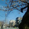 春の神戸をパチリと。