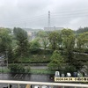 眩しい新緑の季節になりました！