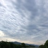 雲